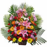 ȷʻٵ